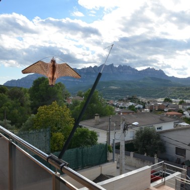 Eolo Hawk ScareCrow for Balcony