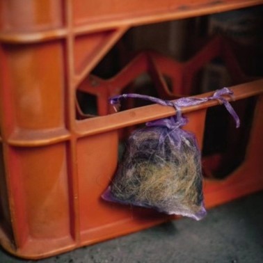 Kunagone Mice | Natural Scent Repellent | BirdGard Iberia