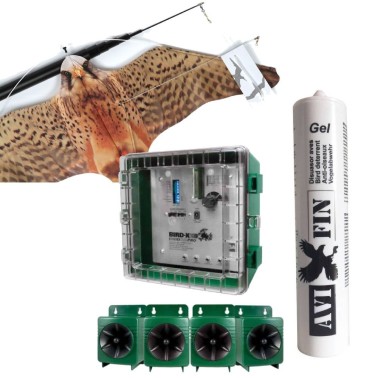 Pack Control de Aves en Comunidades | Solución Completa y Discreta