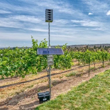 Bird Gard Super Pro Amp instalado en cultivo