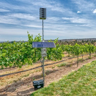 Bird Gard Super Pro Amp instalado en cultivo